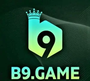 Earnings from B9 Game